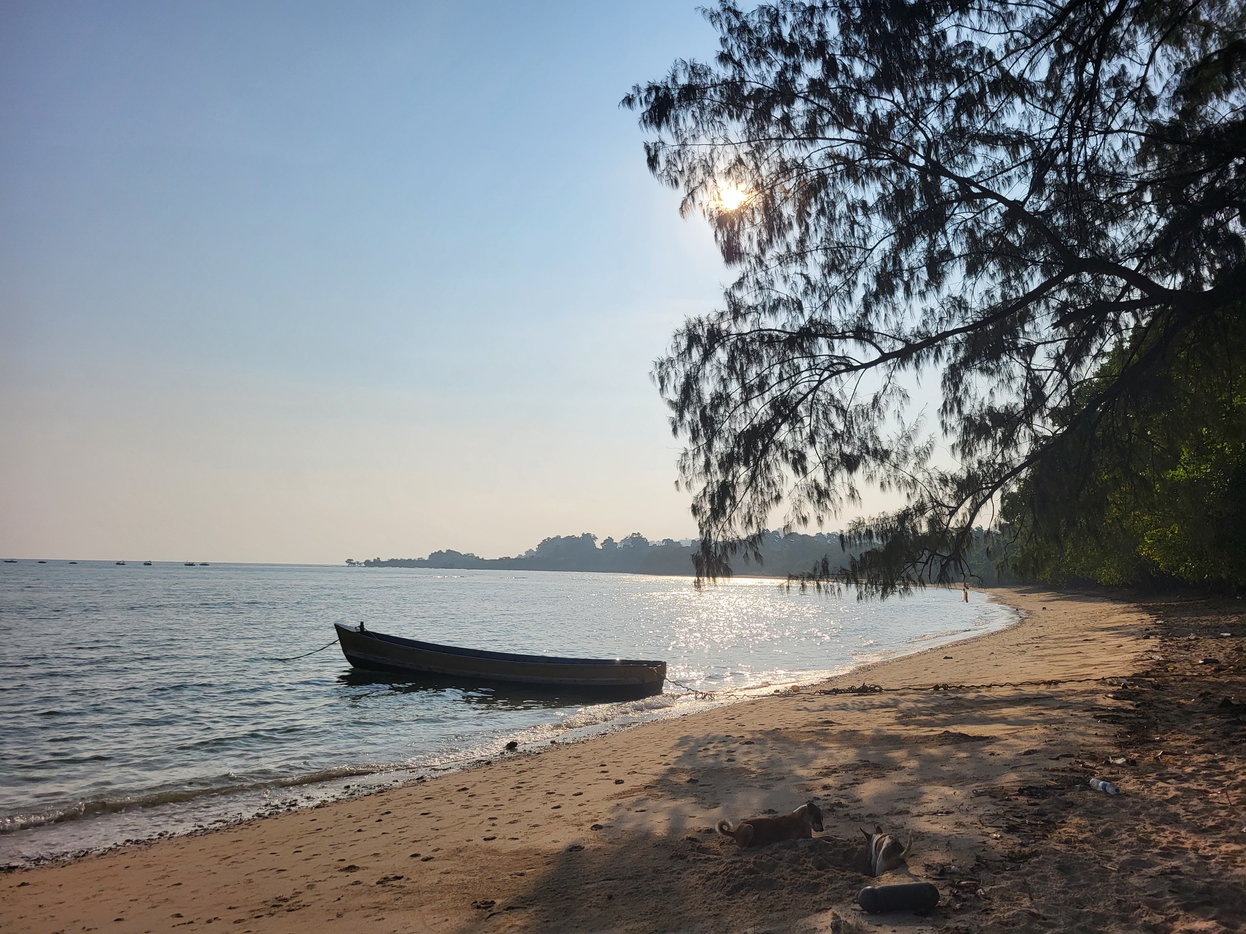 Neil Island Early morning beach